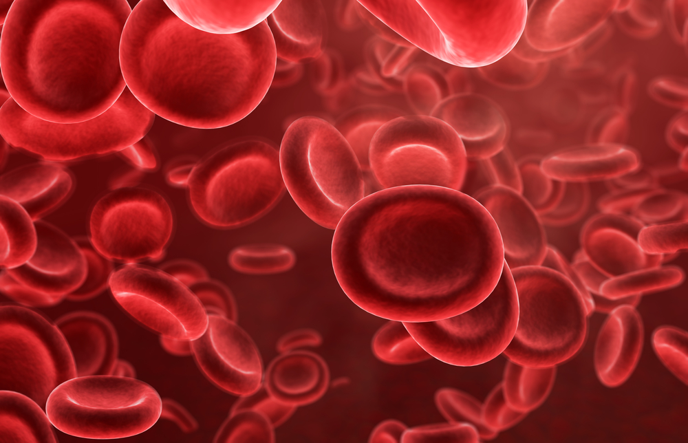 Erythrocytes What are they? Characteristics, Functions, Nutrition and