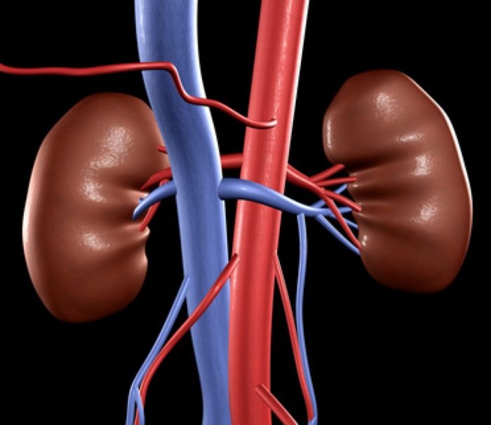 Hypertensive Nephrosclerosis Causes, Diagnosis and Treatment Scope Heal