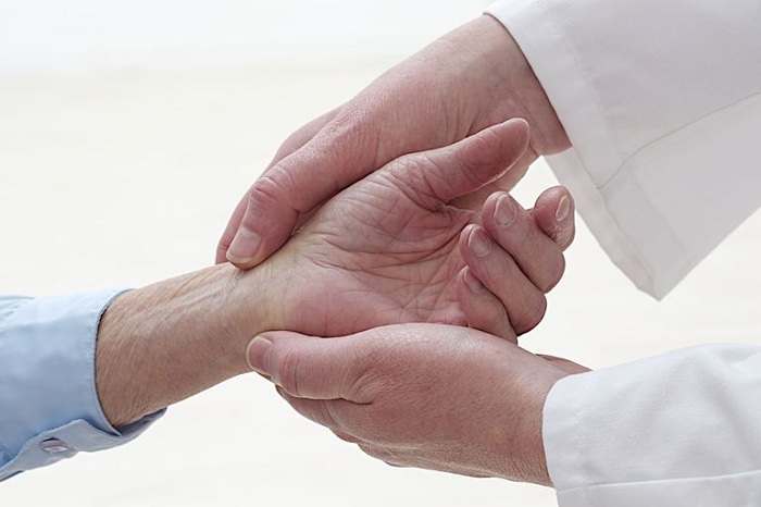 Definition of Synovial Articulations: Functional Classes, Periosteum